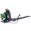 Green Gas Powered Leaf Blower, 37.7cc 4-Cycle Backpack Leaf Blower with Nozzle Extension and Adjustable Strap, Commercial Leaf Vacuum for Blowing Leaves/Snow/Mowed Grass, EPA Passed