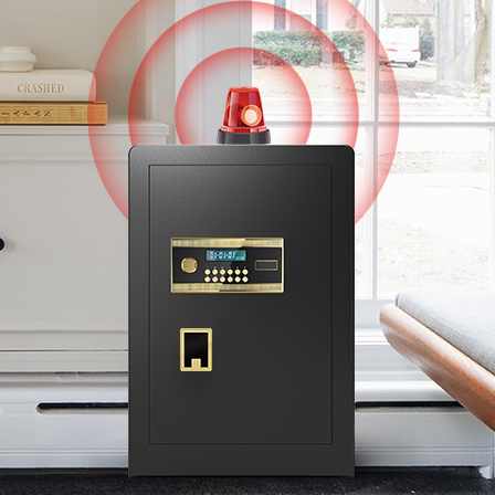 Sesslife Fire Resistant Home Safe with Multiple Encryption, 13.8" x 13.8" x 27.56", Black