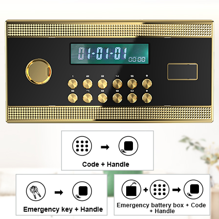 Sesslife Fire Resistant Home Safe with Multiple Encryption, 13.8" x 13.8" x 27.56", Black