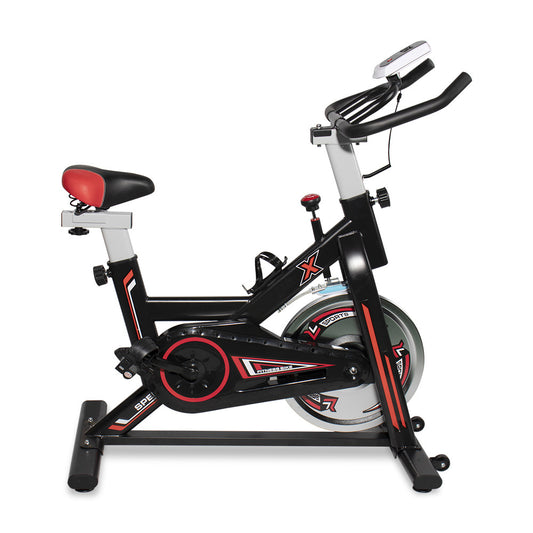 Indoor Cycling Bike Stationary, Smooth Exercise Bicycle with Adjustable Seat / Bottle Holder / LCD Monitor, DT13